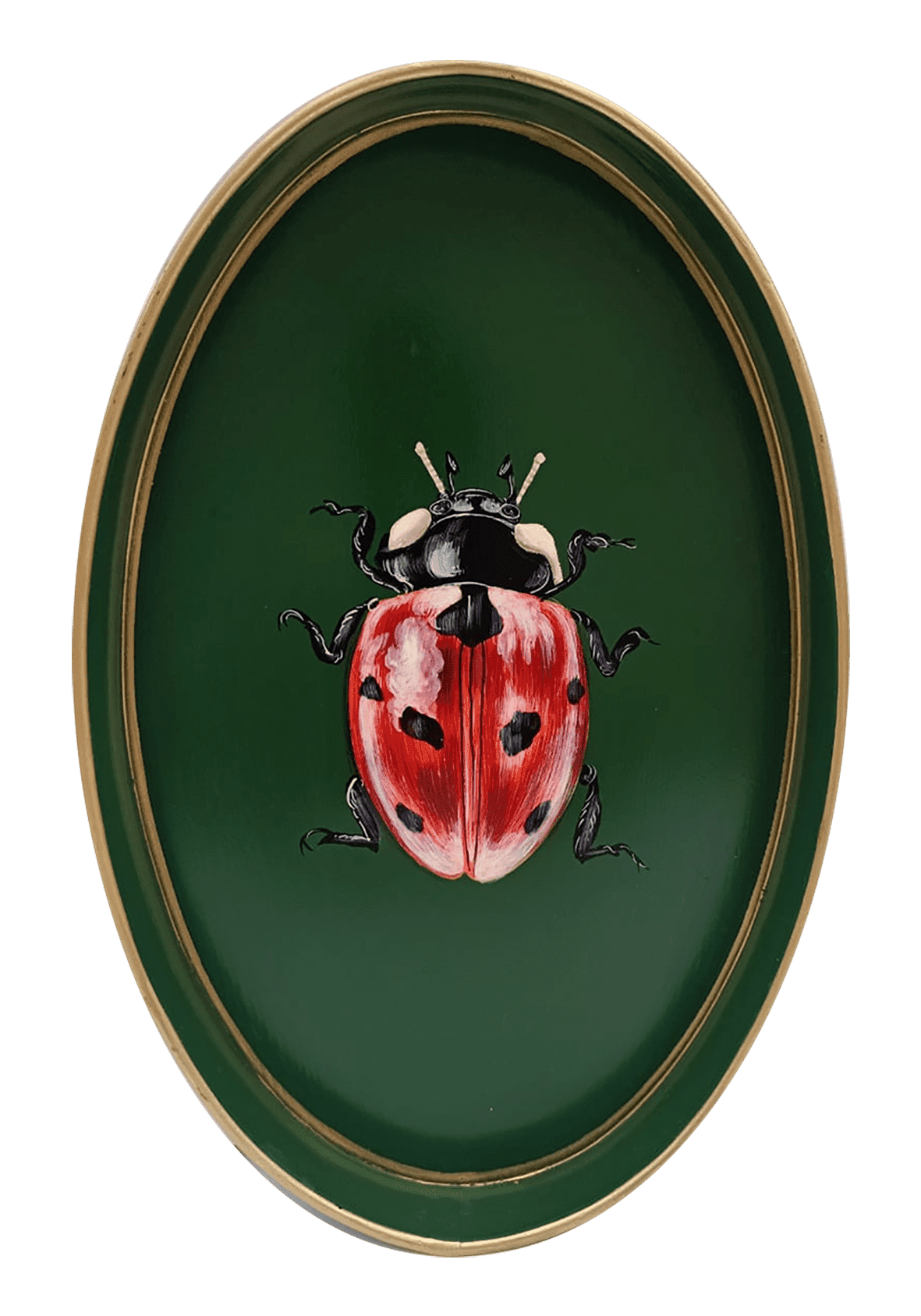 This is a picture of a Les Ottomans oval shaped iron tray that features a hand-painted illustration of a Ladybird on a deep forest green background with a stylish gold border.